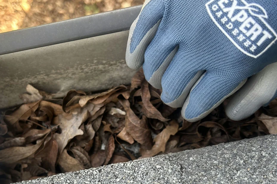 Gutter Cleaning Smithfield